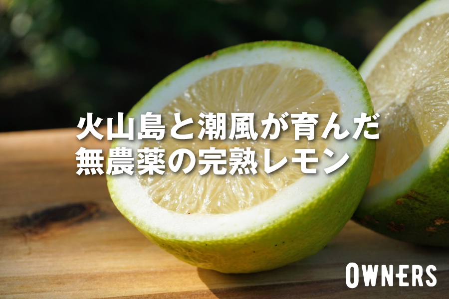 火山島と潮風が育んだ無農薬の完熟レモンをお届けします!(OWNERS)